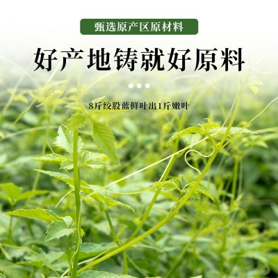 绞股蓝茶正品茶中药材遍地生根泡茶七叶胆绞骨蓝泡水绞股兰绞股蓝