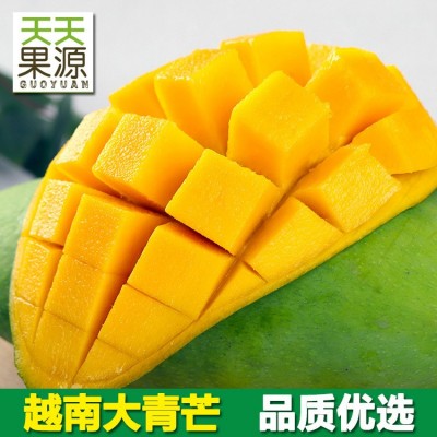 产地货源越南大青芒9斤整箱大金煌青芒果当季新鲜水果 芒果批发图2