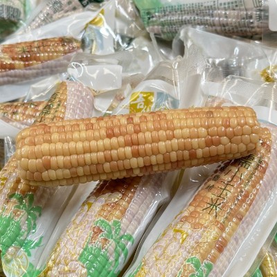 卓恬园 西双版纳香糯小玉米 香甜软糯真空独立包装甜玉米棒粗粮图3