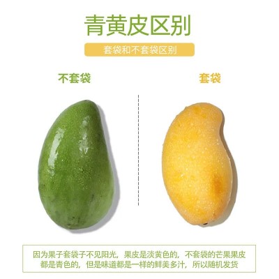 产地直供海南金煌芒5斤整箱芒果新鲜当季水果水仙芒海南芒果批发图4