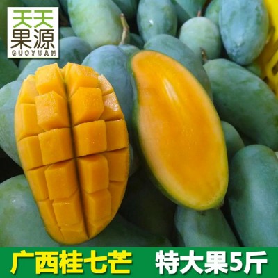 产地直发广西百色桂七芒5斤特大果新鲜水果 当季青芒果批发非金煌图2