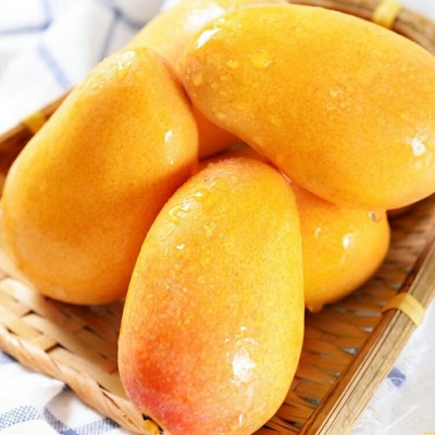 产地直供海南现摘小台芒9斤整箱台农芒果批发一件代发非水仙芒