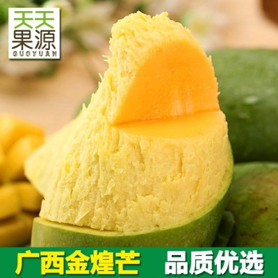 产地货源 广西金煌芒5斤小青芒青皮芒果新鲜热带水果批发一件代发图3