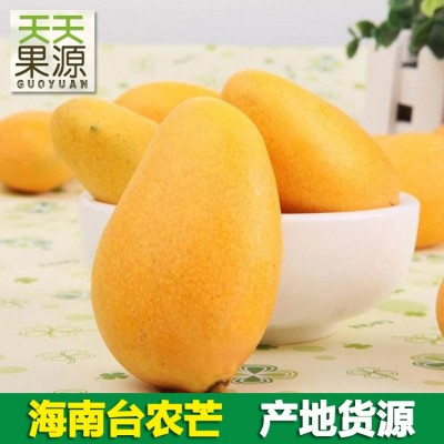 产地货源 广西金煌芒5斤小青芒青皮芒果新鲜热带水果批发一件代发