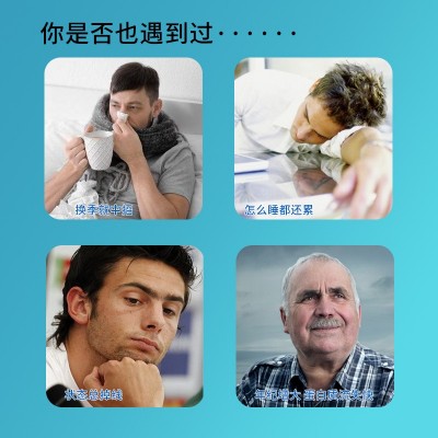 双植物蛋白粉oem定制特膳运动营养食品乳清蛋白粉代发植 物蛋白粉图4