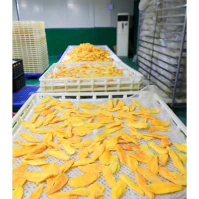 工厂直供休闲食品散装10kg/件蜜饯批发 芒果干大片A果