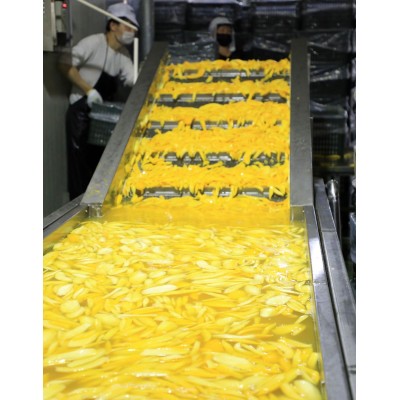 工厂直供休闲食品散装10kg/件蜜饯批发 芒果干大片A果图2