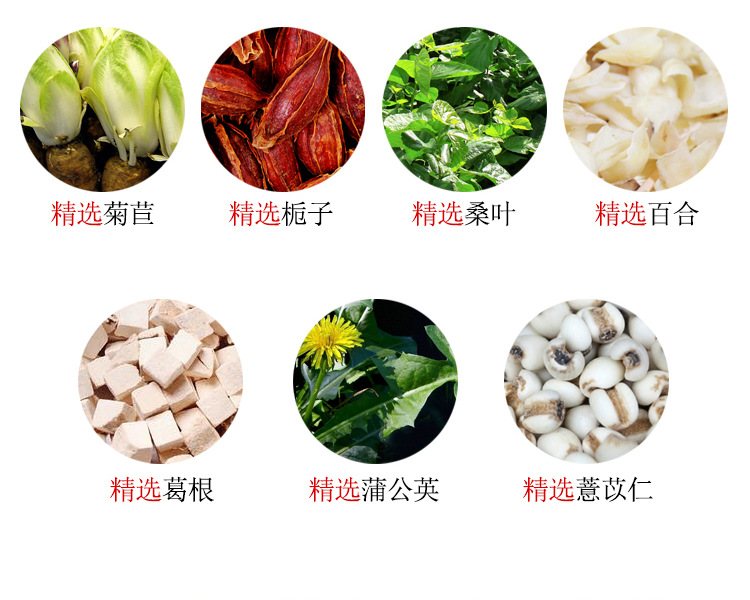 菊苣栀子茶_04.jpg