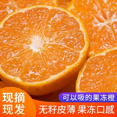 四川蒲江爱媛果冻橙38新鲜水果采摘基地9斤薄皮甜蜜橙子柑橘现货图4