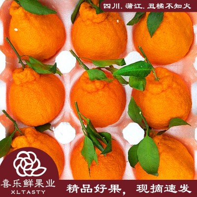 正宗四川蒲江丑橘不知火新鲜时令水果现摘速发9斤装水果喜乐鲜果图5