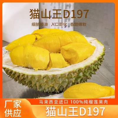 整箱 马来西亚猫山王D197榴莲批发液氮现摘新鲜水果榴莲顺丰包邮图4