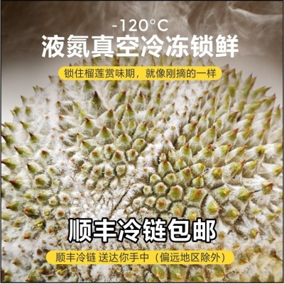 榴莲猫山王d197正宗马来西亚进口带壳整箱批发冷冻液氮猫山王榴莲图5
