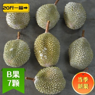 猫山王榴莲d197马来西亚b果一箱批发20斤冰冻7颗液氮 巴掌榴莲图2