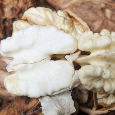 停售【2023新】鲜核桃去青皮绿皮水果核桃整箱10斤薄皮嫩湿核桃图4