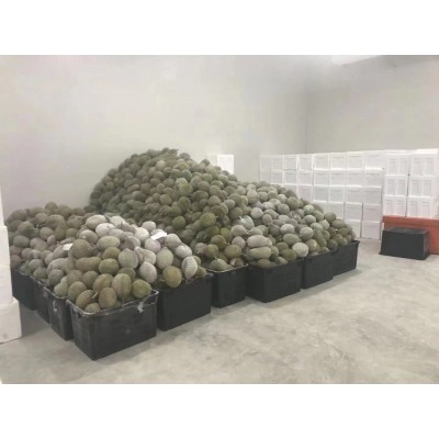 马来西亚进口D197猫山王榴莲A果4头液氮冷冻水果猫山王榴莲带壳图4