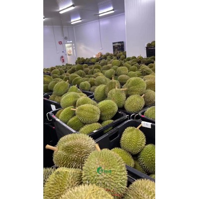 马来猫山王3-3.5斤榴莲D197液氮榴莲整果带壳榴莲冷冻水果图4
