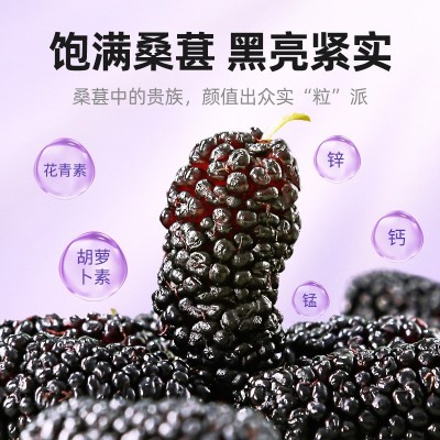 新疆200克桑葚干 免洗桑宝黑桑果新鲜晒干桑枣泡酒泡水喝桑葚图4