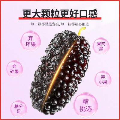 新疆200克桑葚干 免洗桑宝黑桑果新鲜晒干桑枣泡酒泡水喝桑葚图3