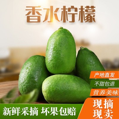云南香水柠檬大果新鲜应季酸甜多汁四季香长柠檬水果奶茶店可用图3