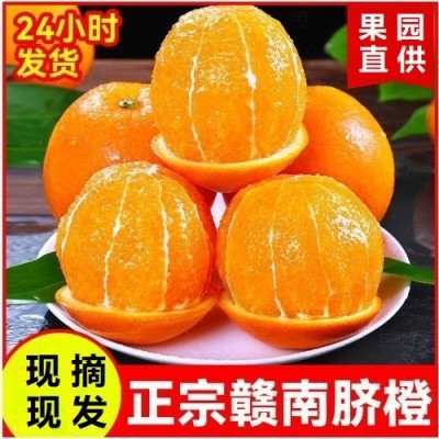 赣南脐橙10斤20斤装彩箱孕妇水果现摘橙子批发团购礼盒装果园直发