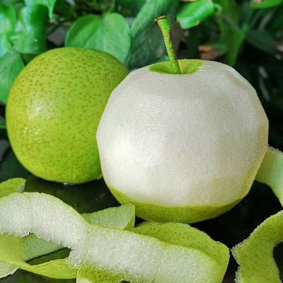 【日销】河北青皇冠 个大饱满清甜脆嫩产地直发图3