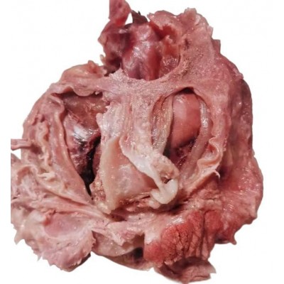 精品新鲜卤牛花筋腱子肉熟食制品原味无添加餐饮批发冷冻真空包装图2