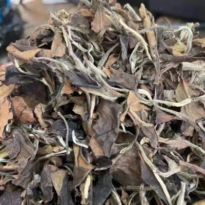 福鼎的白茶枣香日晒老白茶寿眉贡眉散茶散装500克厂家直供图3