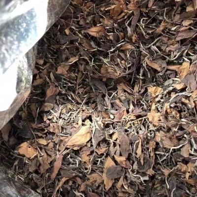 福鼎的白茶枣香日晒老白茶寿眉贡眉散茶散装500克厂家直供图2