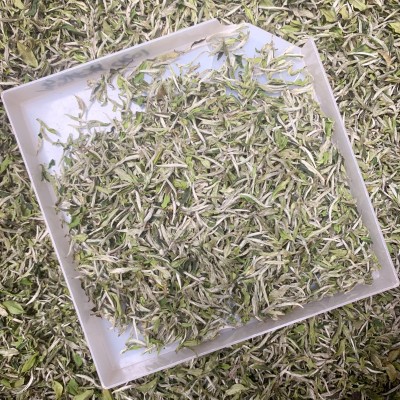 福鼎管阳春茶花香白牡丹高山日晒白茶散茶装500克厂家直供图6