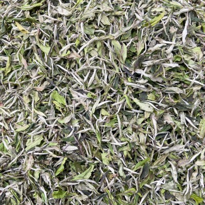 福鼎管阳春茶花香白牡丹高山日晒白茶散茶装500克厂家直供图5