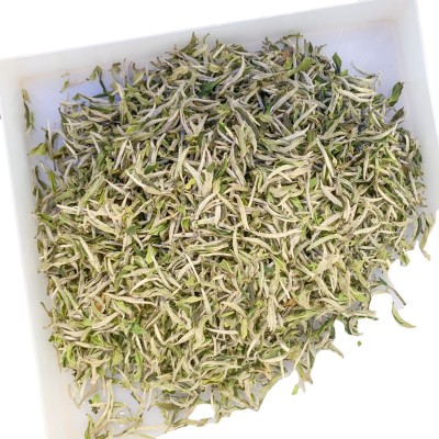 福鼎管阳春茶花香白牡丹高山日晒白茶散茶装500克厂家直供图4
