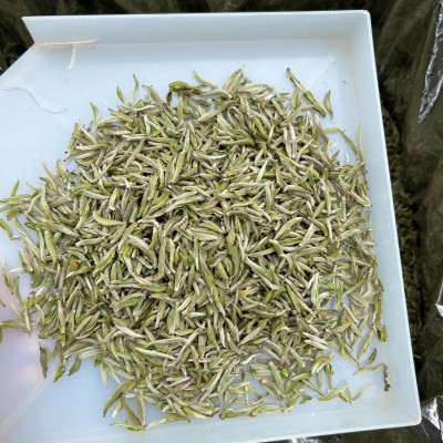 福鼎白茶茶头春头采米芽银针白毫银针批发