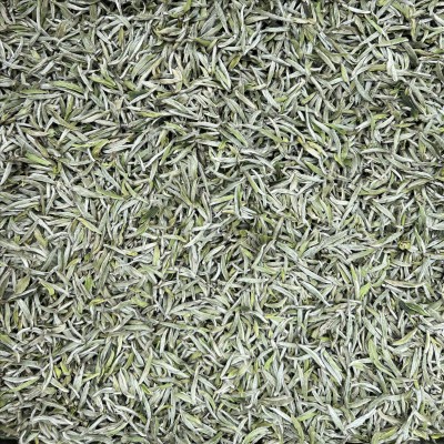 福鼎白茶茶头春头采米芽银针白毫银针批发图4
