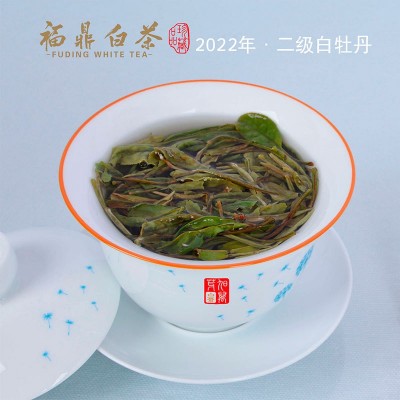 福鼎厂家直销福 鼎 白茶磻溪高山二级白牡丹茶叶500g批发图2