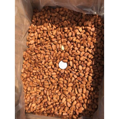 新货开口松子5KG/箱 东北松子1050开口松子大颗粒松子零食图2