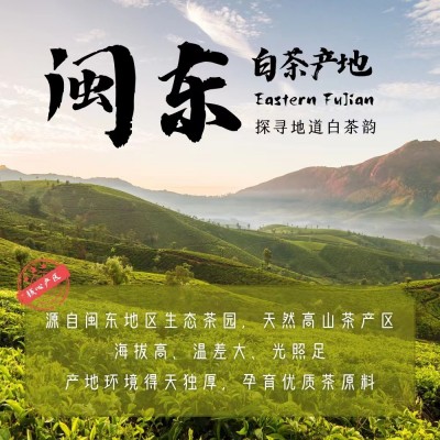 福建福鼎的老白茶饼贡眉寿眉茶叶350g厂家直销茶叶批发图4