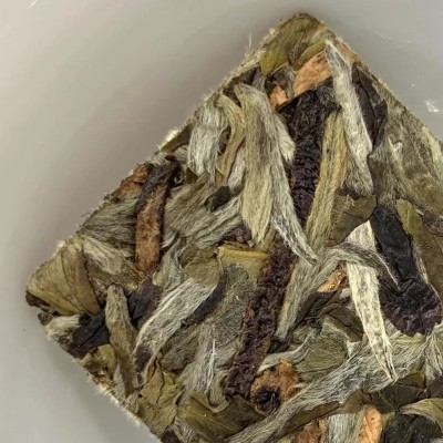 陈皮银针小方片紧压茶福鼎的白毫银针新会陈皮1片1泡源头厂家批发