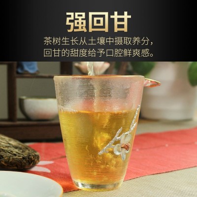 云南临沧茶区大雪山七子饼茶生普纯料普洱生茶饼357g批发图2