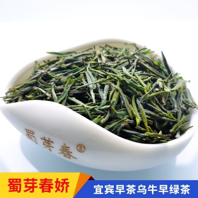 宜宾早茶蜀芽春娇直条明前早春雀舌绿茶批发白茶乌牛早毛峰图2
