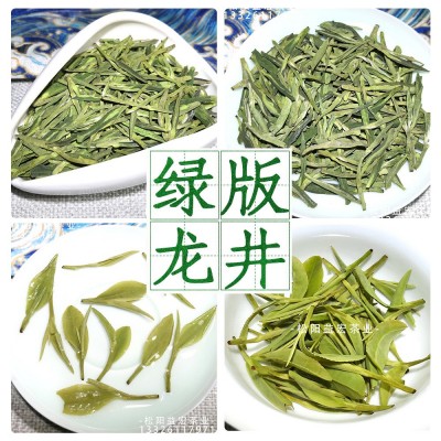 浙江龙井茶 高山云雾松阳炒青绿茶货源产地茶叶一件批发图2