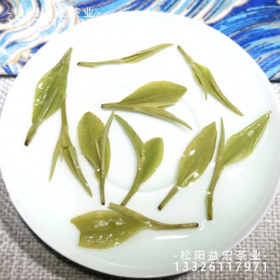 浙江龙井茶 高山云雾松阳炒青绿茶货源产地茶叶一件批发图5