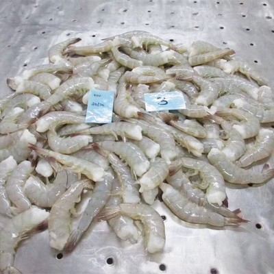 去头虾现货供应印度去头虾无头虾冷冻海鲜餐饮供应新鲜量大从优图3