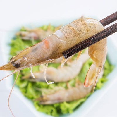 大虾青岛大虾海洋海虾新品海虾活冻鲜虾新鲜捕捞厂家直供批发图2