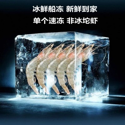 大虾青岛大虾海洋海虾新品海虾活冻鲜虾新鲜捕捞厂家直供批发图3