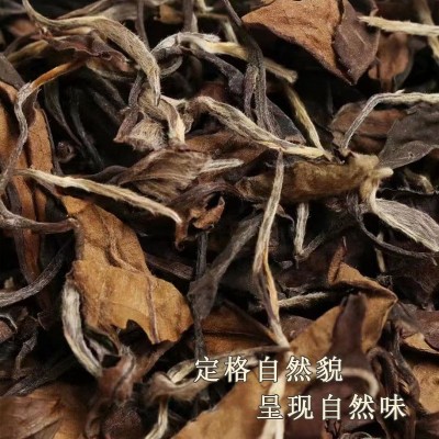 厂家批发福鼎白茶 高山陈年枣香日晒寿眉贡眉老白茶散茶
