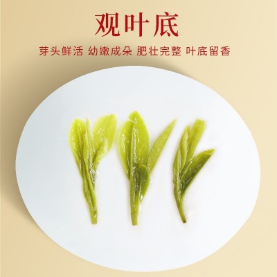 龙年年货送礼明前特级龙井高山豆香绿茶批发散装锁鲜罐装茶叶代发图5