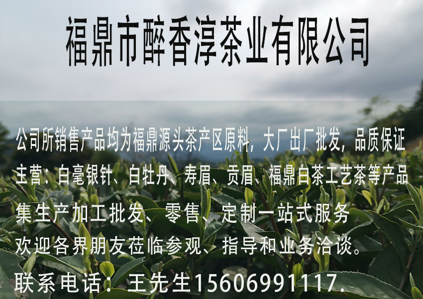 21281028788_435896949