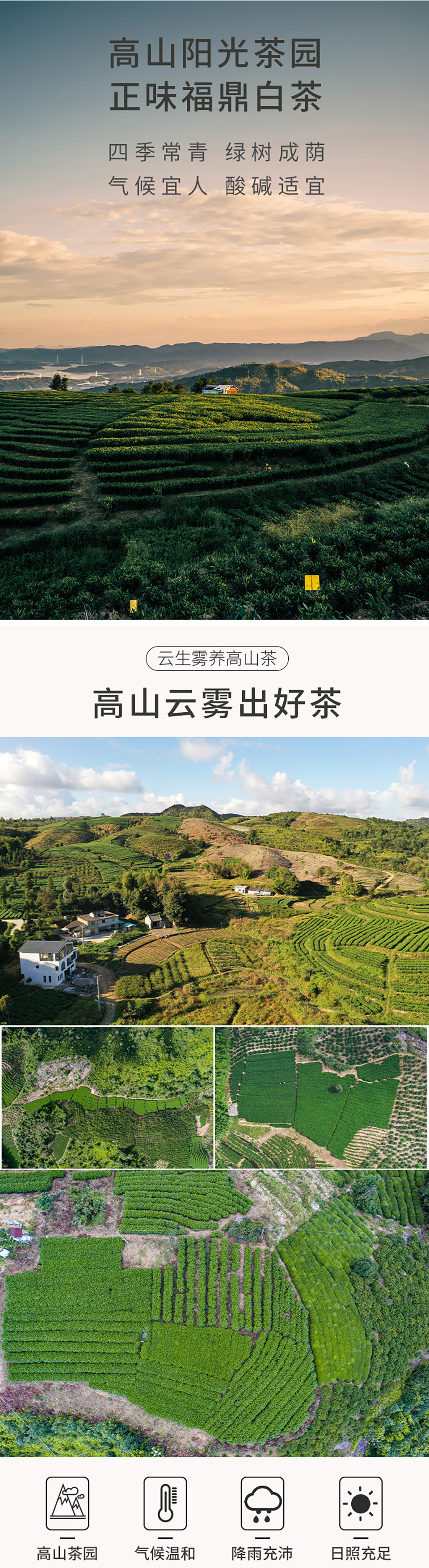 未标题-3