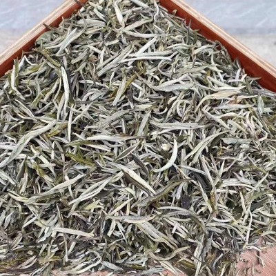 茉莉花茶浓香型凤尾针散装新茶针茶广西横县茉莉茶叶厂家直销