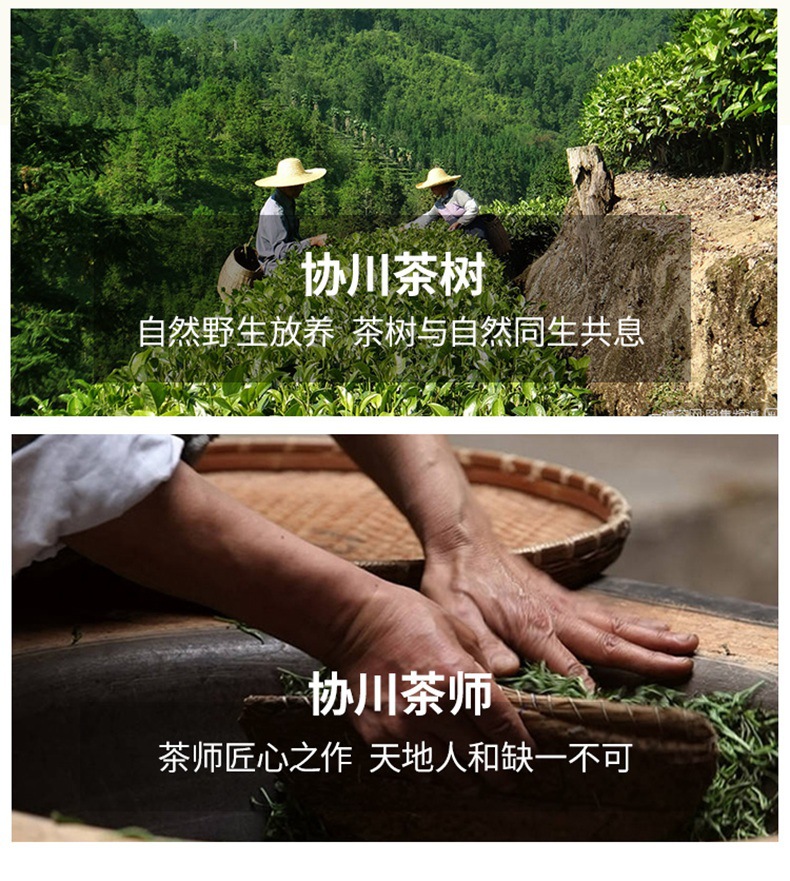 20鸭屎香凤凰单枞凤凰单枞茶单枞茶单丛茶凤凰单丛凤凰单丛鸭屎